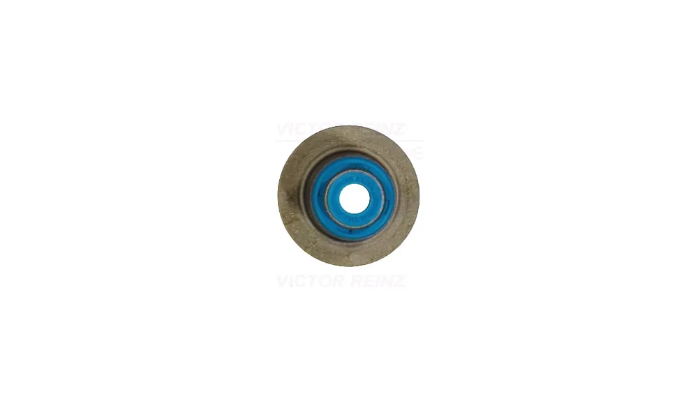 Pakning, Ventilstamme 70-18427-00 (Reinz v:4918898