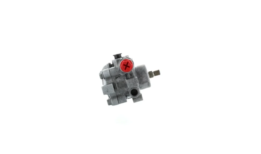 Servopumpe - 54512 - (GKN) v:4909495