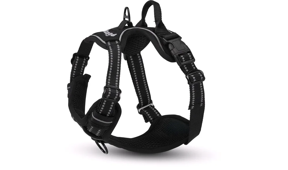Hundesele Y-sele Large v:4745702