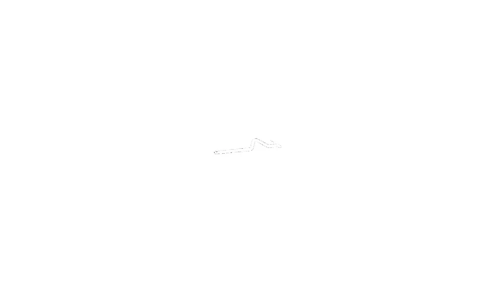 Eksosrør – P2429 – (Fenno) v:1558219