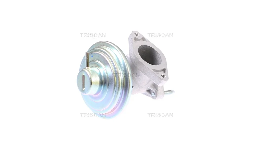 EGR-ventil - 8813 16213 - (Triscan) v:4742558