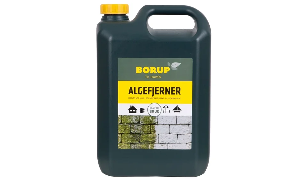 Borup Algefjerner 5L v:5175334