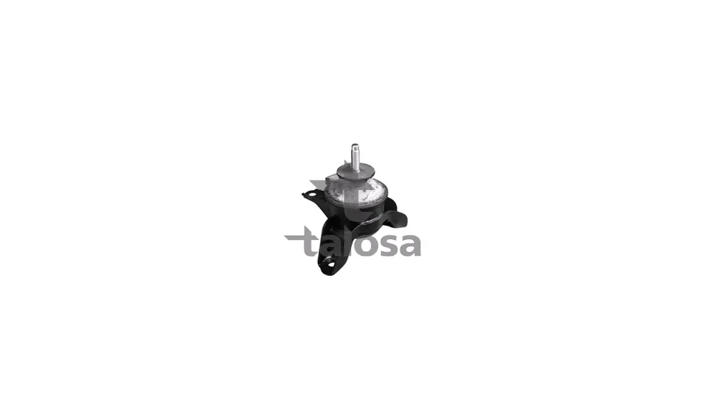 Motorfeste - 61-05641 - (Talosa) v:4735570