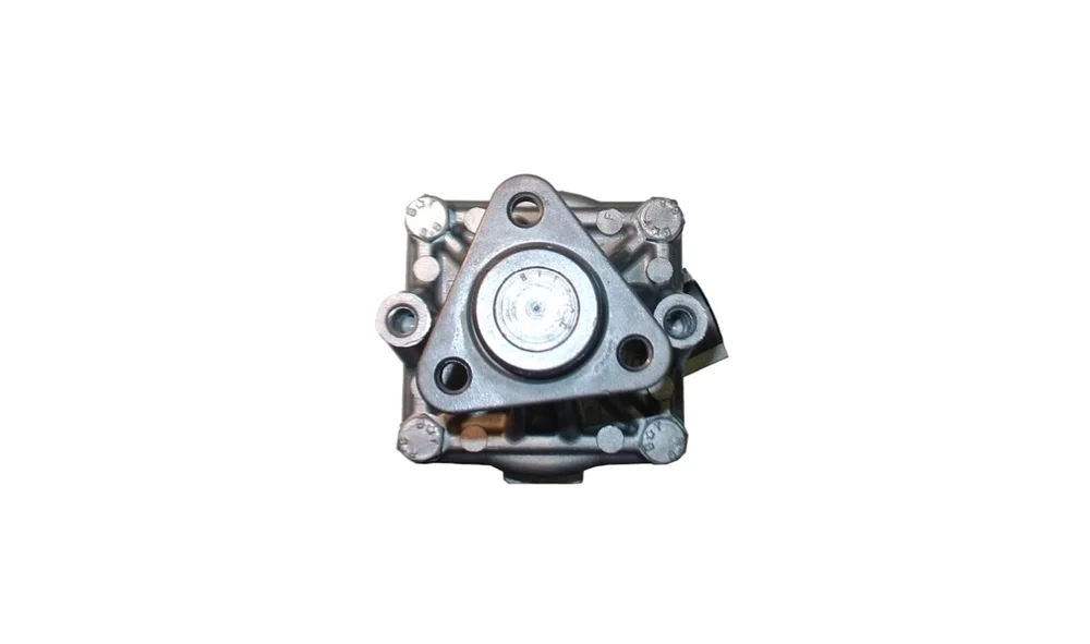 Servopumpe – 53663 – (GKN) v:1441145 Servopumpe – 53663 – (GKN) v:1441145