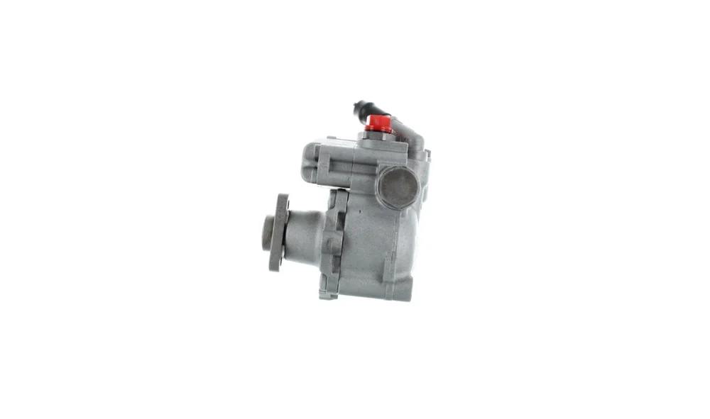 Servopumpe – 52861 – (GKN) v:2425404 Servopumpe – 52861 – (GKN) v:2425404