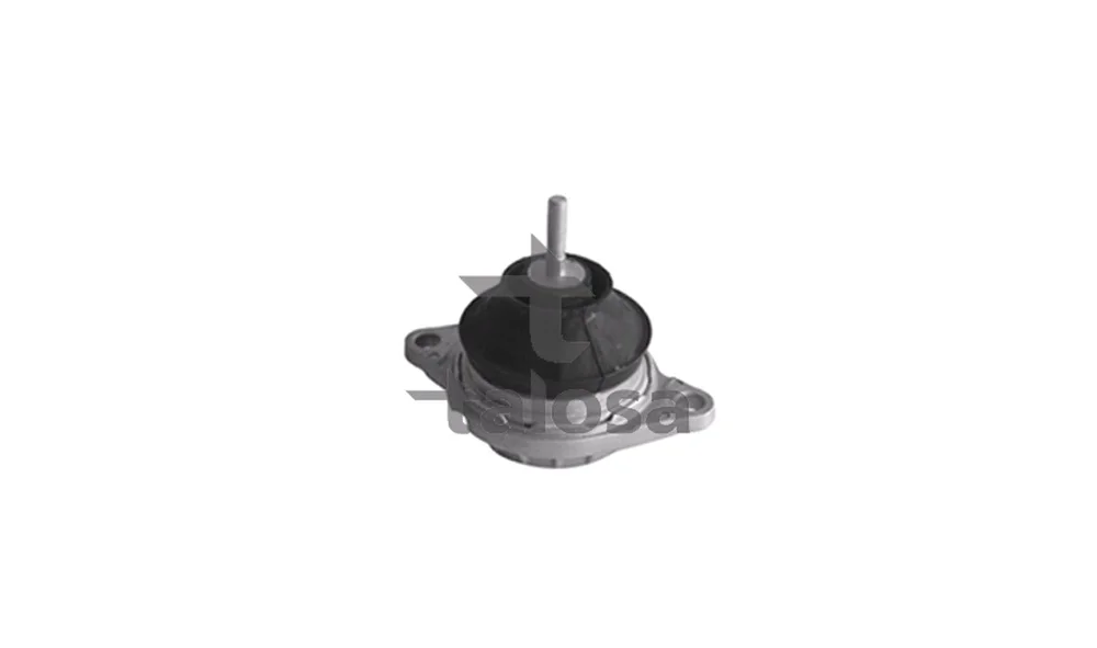 Motorfeste – 61-06587 – (Talosa) v:1509230