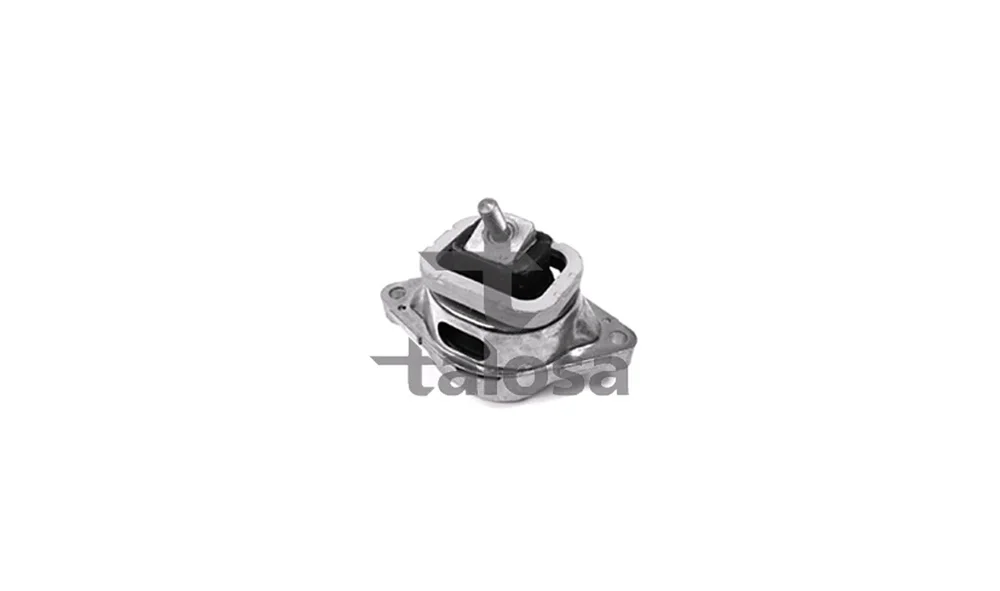 Motorfeste - 61-10895 - (Talosa) v:2374037